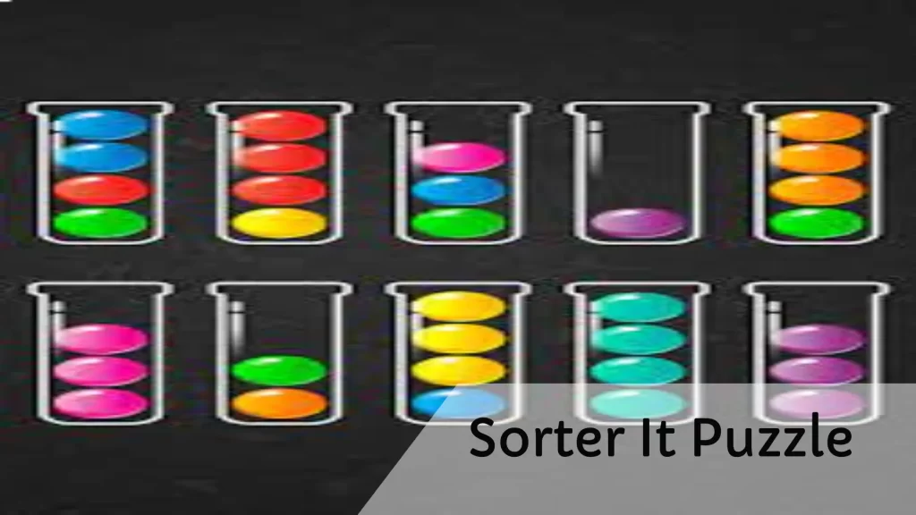 Sorter It Puzzle3